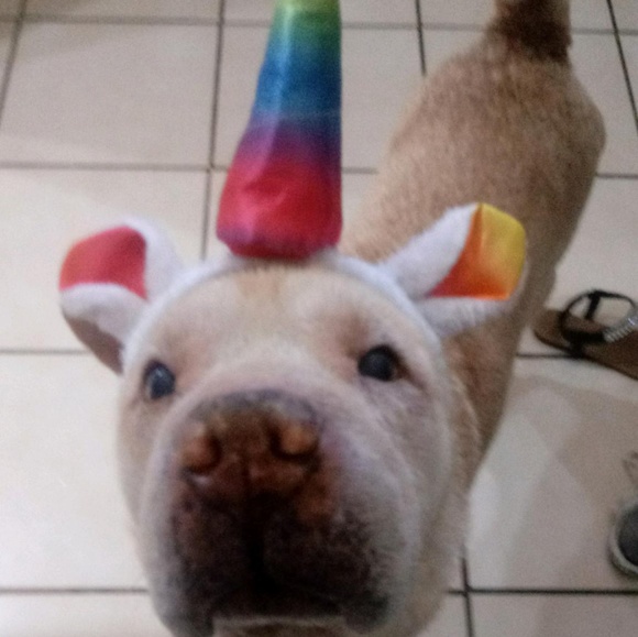 Meet your Posh Ambassador, C - Picture 6 of 16